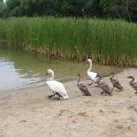 Prlu W Camp Lipno סטשאו