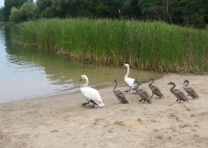 Prlu W Camp Lipno Stęszew